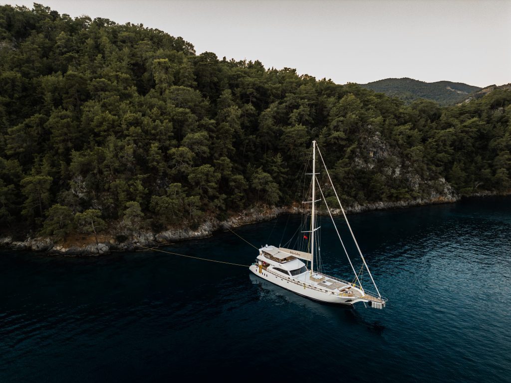 BELGIN SULTAN Anchored